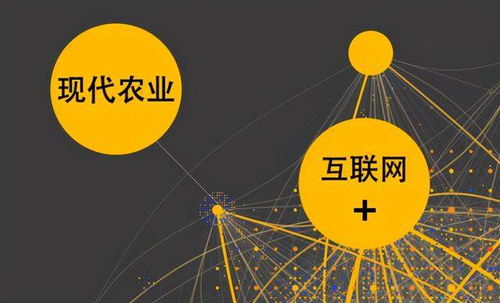 農(nóng)業(yè)與互聯(lián)網(wǎng)交錯 社交電商為農(nóng)村經(jīng)濟發(fā)展賦能與網(wǎng)絡(luò)技術(shù)領(lǐng)域的拓展